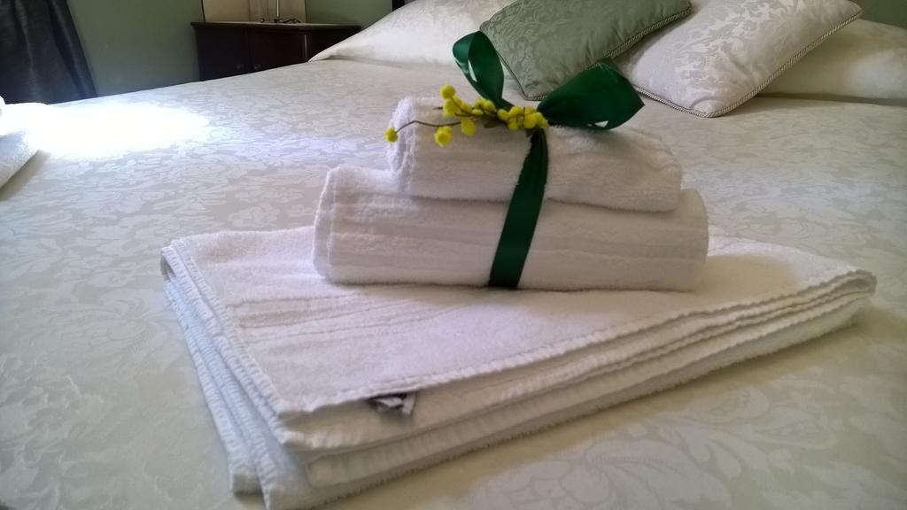 B&B La Mimosa Lucca Rom bilde